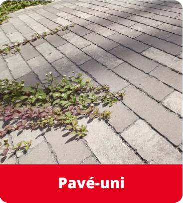 Aménagement paysager - pavé uni