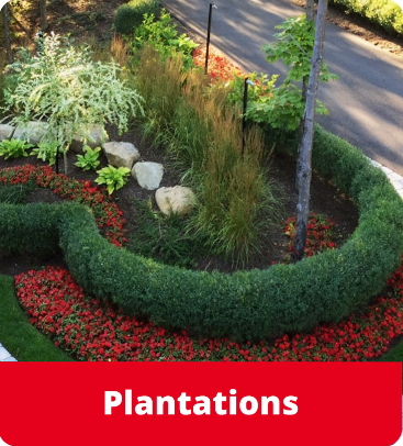 Aménagement paysager - plantations
