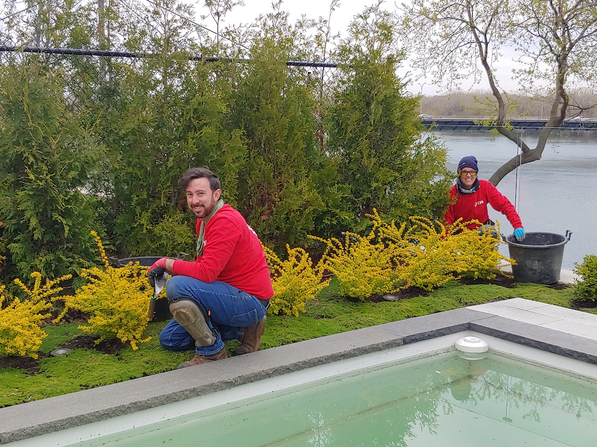 Aménagement paysager CHN Paysagiste