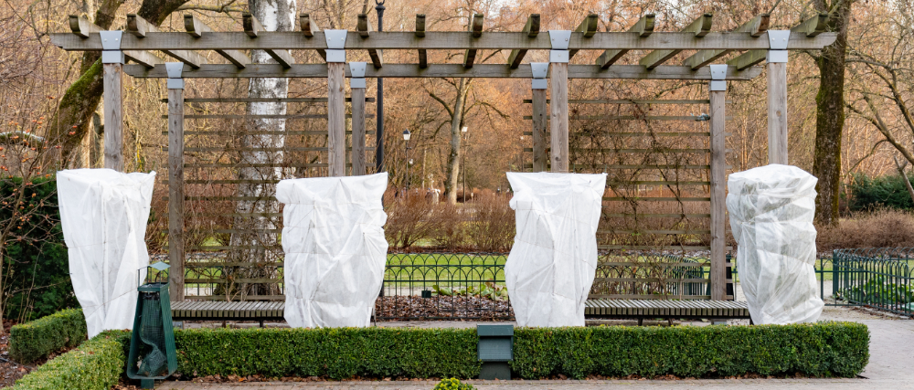 Proctection hivernale sur les arbres